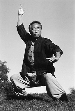 Kung Fu Master posing a Pigua Zhang stance