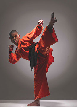Shaolin Kung Fu Master kick