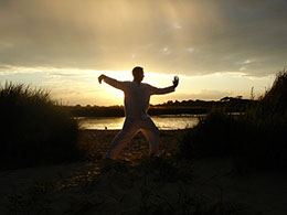 Kung Fu Master posing a Tai Chi stance