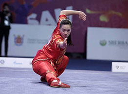 Kung Fu Wushu performer